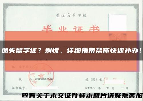 迷失留学证？别慌，详细指南帮你快速补办！缩略图