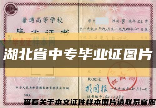 湖北省中专毕业证图片缩略图