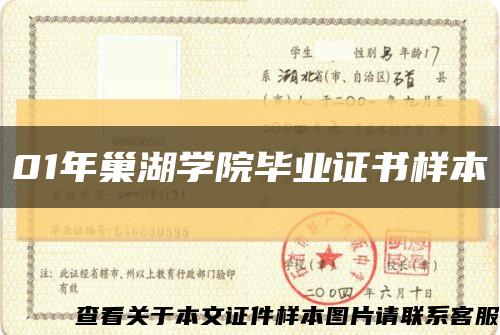 01年巢湖学院毕业证书样本缩略图