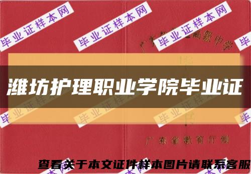 潍坊护理职业学院毕业证缩略图