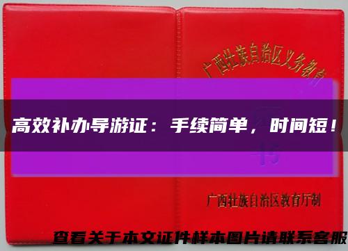 高效补办导游证：手续简单，时间短！缩略图