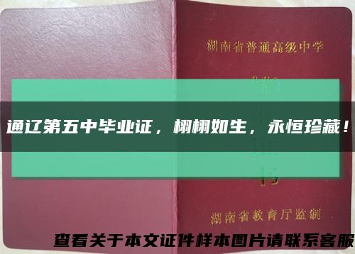通辽第五中毕业证，栩栩如生，永恒珍藏！缩略图
