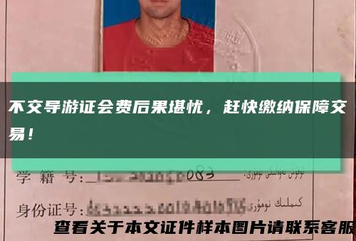 不交导游证会费后果堪忧，赶快缴纳保障交易！缩略图