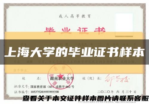 上海大学的毕业证书样本缩略图