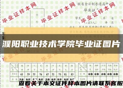 濮阳职业技术学院毕业证图片缩略图