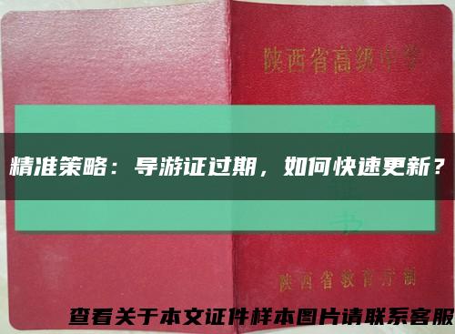 精准策略：导游证过期，如何快速更新？缩略图