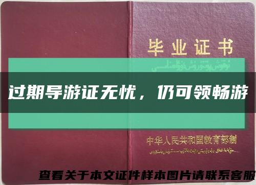 过期导游证无忧，仍可领畅游缩略图