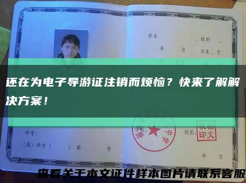 还在为电子导游证注销而烦恼？快来了解解决方案！缩略图