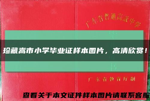 珍藏嵩市小学毕业证样本图片，高清欣赏！缩略图