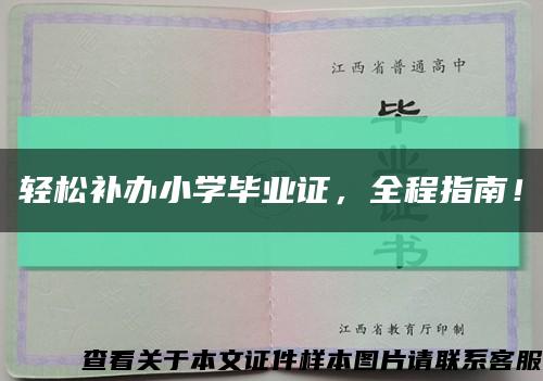 轻松补办小学毕业证，全程指南！缩略图