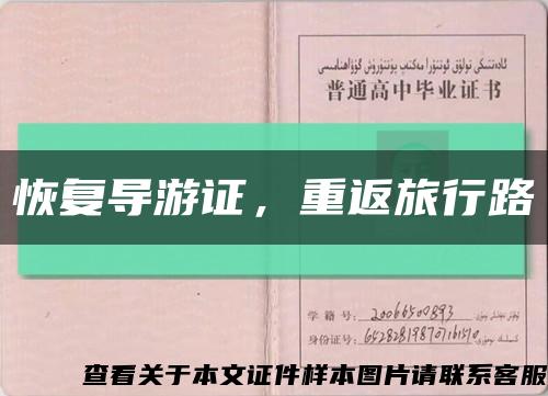 恢复导游证，重返旅行路缩略图