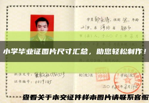 小学毕业证图片尺寸汇总，助您轻松制作！缩略图