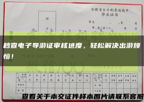 秒查电子导游证审核进度，轻松解决出游烦恼！缩略图
