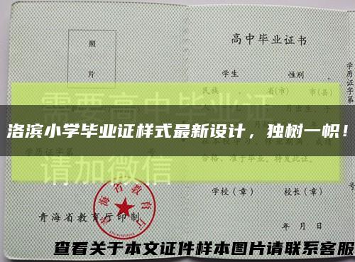 洛滨小学毕业证样式最新设计，独树一帜！缩略图