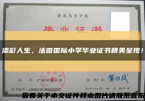 添彩人生，法国国际小学毕业证书精美呈现！缩略图