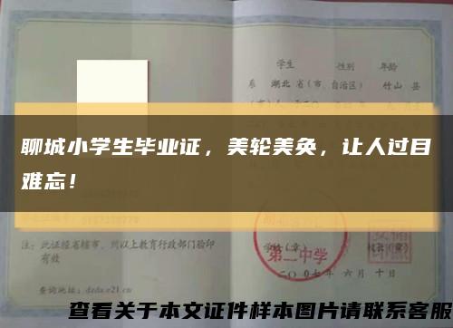 聊城小学生毕业证，美轮美奂，让人过目难忘！缩略图