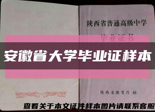 安徽省大学毕业证样本缩略图