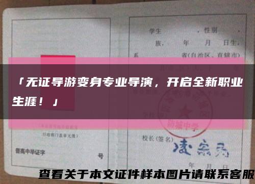 「无证导游变身专业导演，开启全新职业生涯！」缩略图