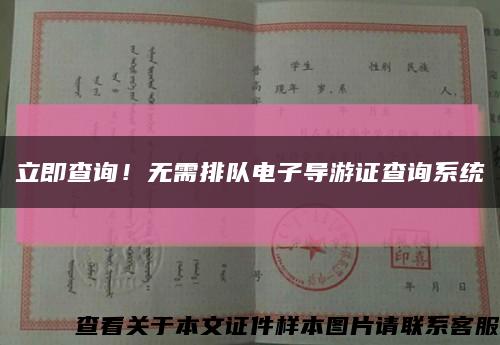 立即查询！无需排队电子导游证查询系统缩略图