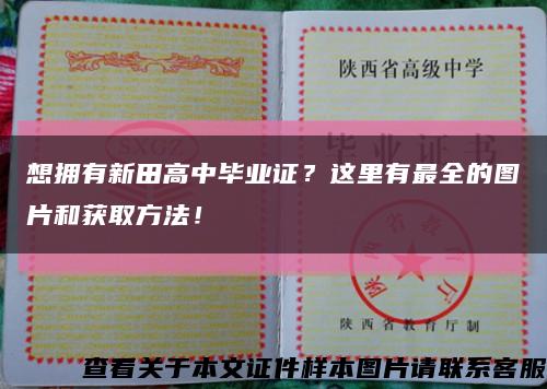 想拥有新田高中毕业证？这里有最全的图片和获取方法！缩略图