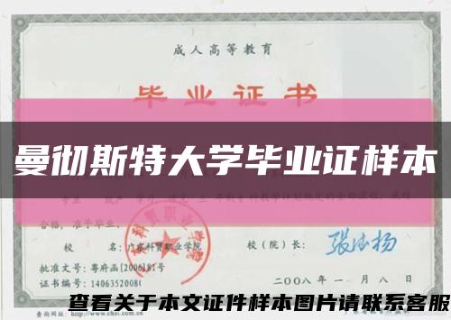 曼彻斯特大学毕业证样本缩略图