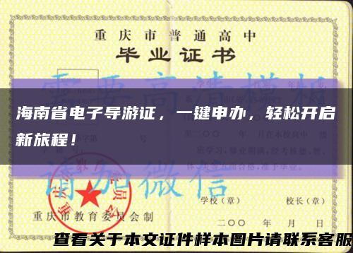 海南省电子导游证，一键申办，轻松开启新旅程！缩略图
