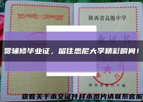 赏辅修毕业证，留住悉尼大学精彩瞬间！缩略图