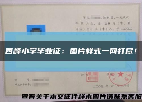 西峰小学毕业证：图片样式一网打尽！缩略图