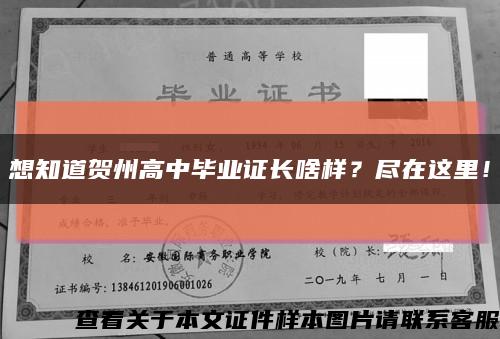 想知道贺州高中毕业证长啥样？尽在这里！缩略图