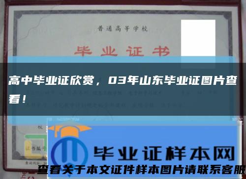 高中毕业证欣赏，03年山东毕业证图片查看！缩略图