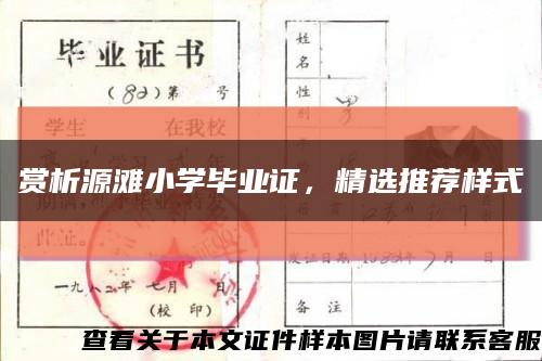 赏析源滩小学毕业证，精选推荐样式缩略图