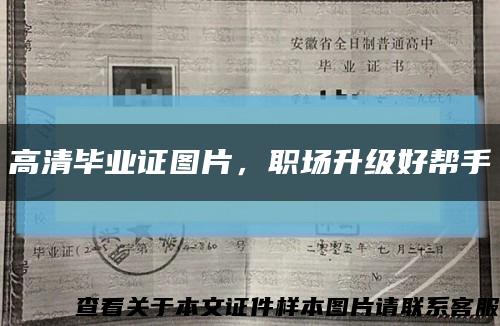 高清毕业证图片，职场升级好帮手缩略图