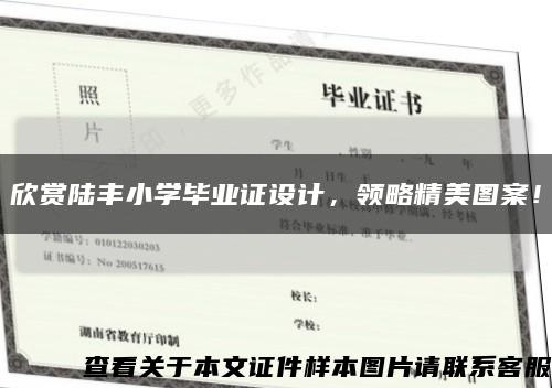 欣赏陆丰小学毕业证设计，领略精美图案！缩略图