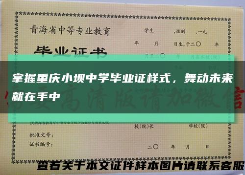 掌握重庆小坝中学毕业证样式，舞动未来就在手中缩略图