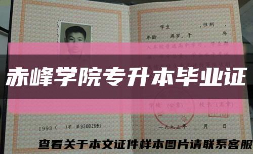 赤峰学院专升本毕业证缩略图