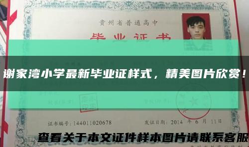 谢家湾小学最新毕业证样式，精美图片欣赏！缩略图