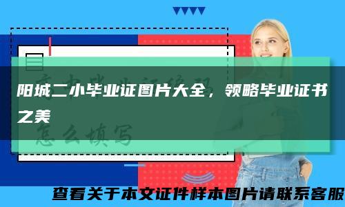 阳城二小毕业证图片大全，领略毕业证书之美缩略图