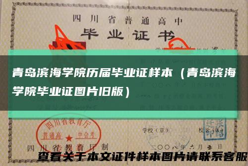 青岛滨海学院历届毕业证样本（青岛滨海学院毕业证图片旧版）缩略图