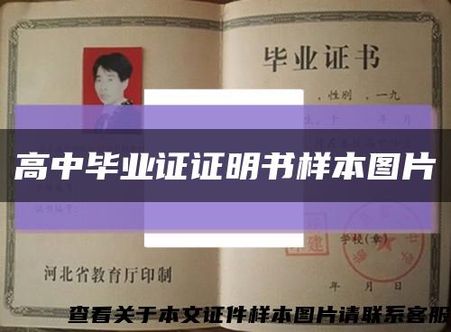 高中毕业证证明书样本图片缩略图