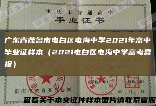 广东省茂名市电白区电海中学2021年高中毕业证样本（2021电白区电海中学高考喜报）缩略图