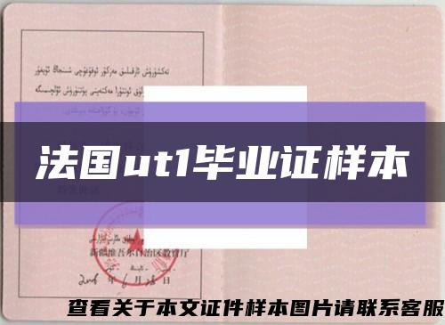法国ut1毕业证样本缩略图