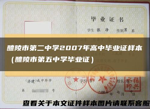 醴陵市第二中学2007年高中毕业证样本（醴陵市第五中学毕业证）缩略图