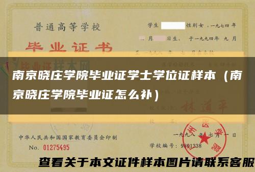 南京晓庄学院毕业证学士学位证样本（南京晓庄学院毕业证怎么补）缩略图