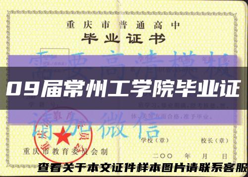 09届常州工学院毕业证缩略图
