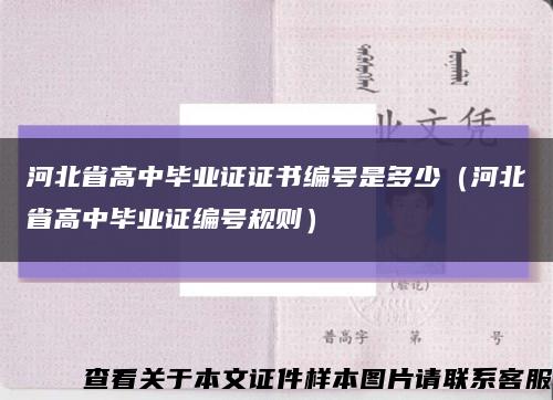 河北省高中毕业证证书编号是多少（河北省高中毕业证编号规则）缩略图