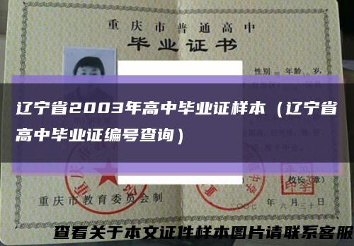 辽宁省2003年高中毕业证样本（辽宁省高中毕业证编号查询）缩略图