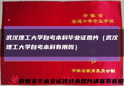 武汉理工大学自考本科毕业证图片（武汉理工大学自考本科有用吗）缩略图