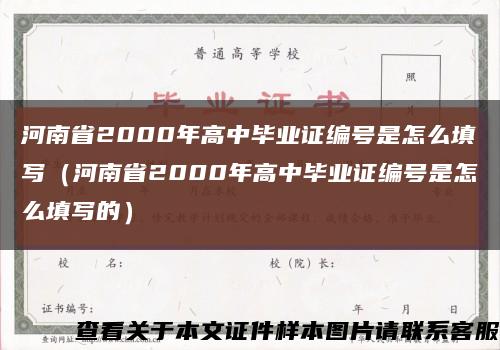 河南省2000年高中毕业证编号是怎么填写（河南省2000年高中毕业证编号是怎么填写的）缩略图
