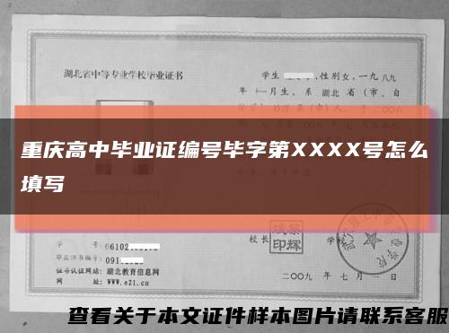 重庆高中毕业证编号毕字第XXXX号怎么填写缩略图