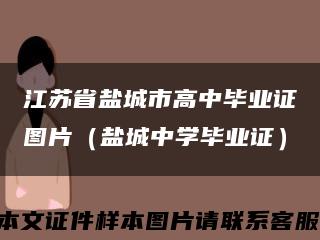 江苏省盐城市高中毕业证图片（盐城中学毕业证）缩略图